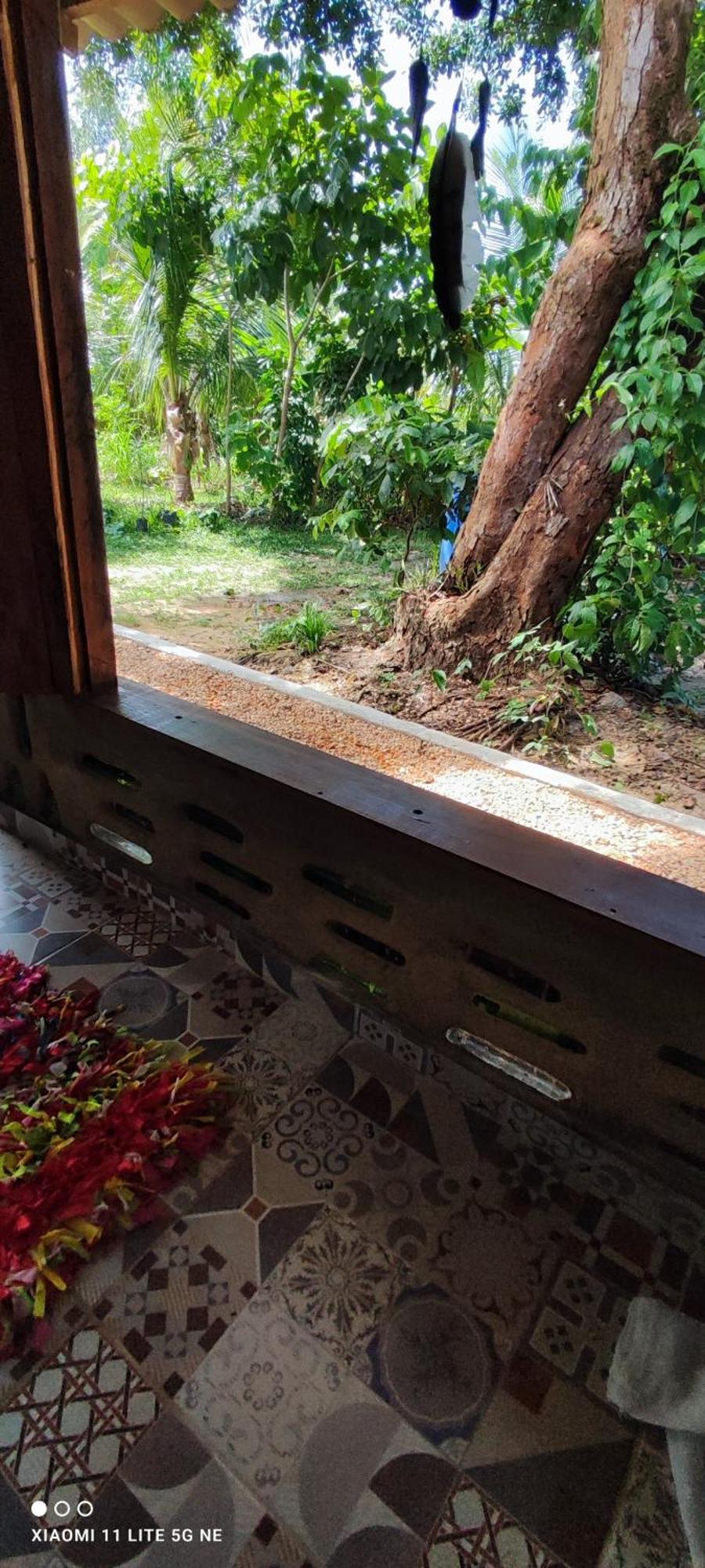 Eco Hostel Lunar Soure Bagian luar foto