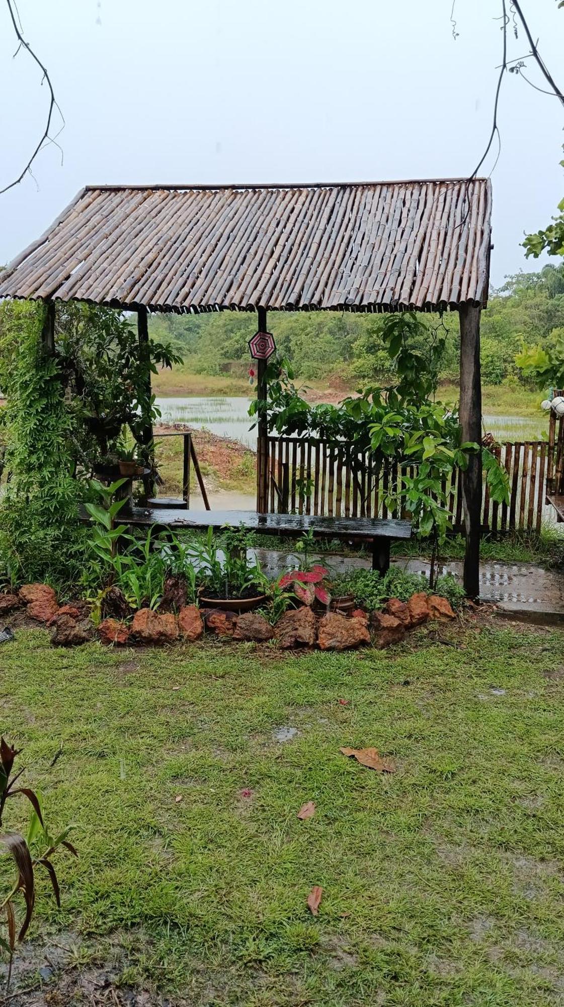 Eco Hostel Lunar Soure Bagian luar foto