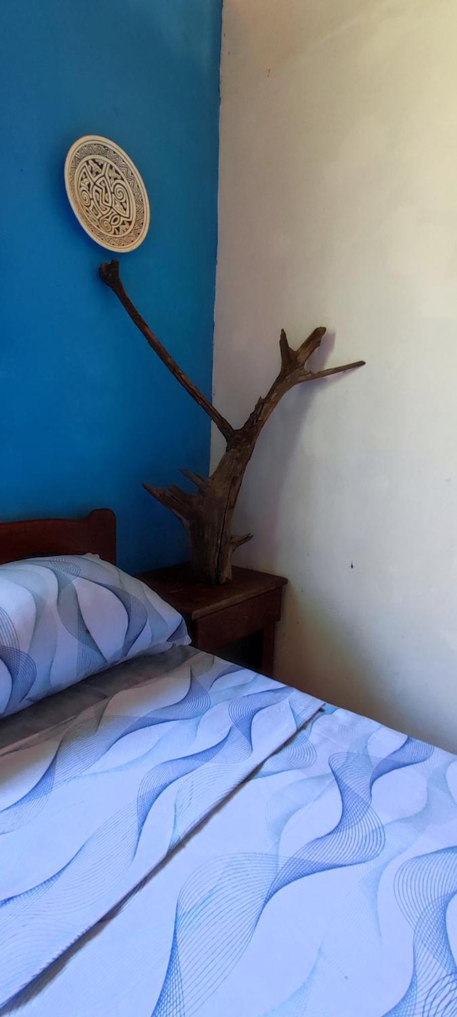 Eco Hostel Lunar Soure Bagian luar foto