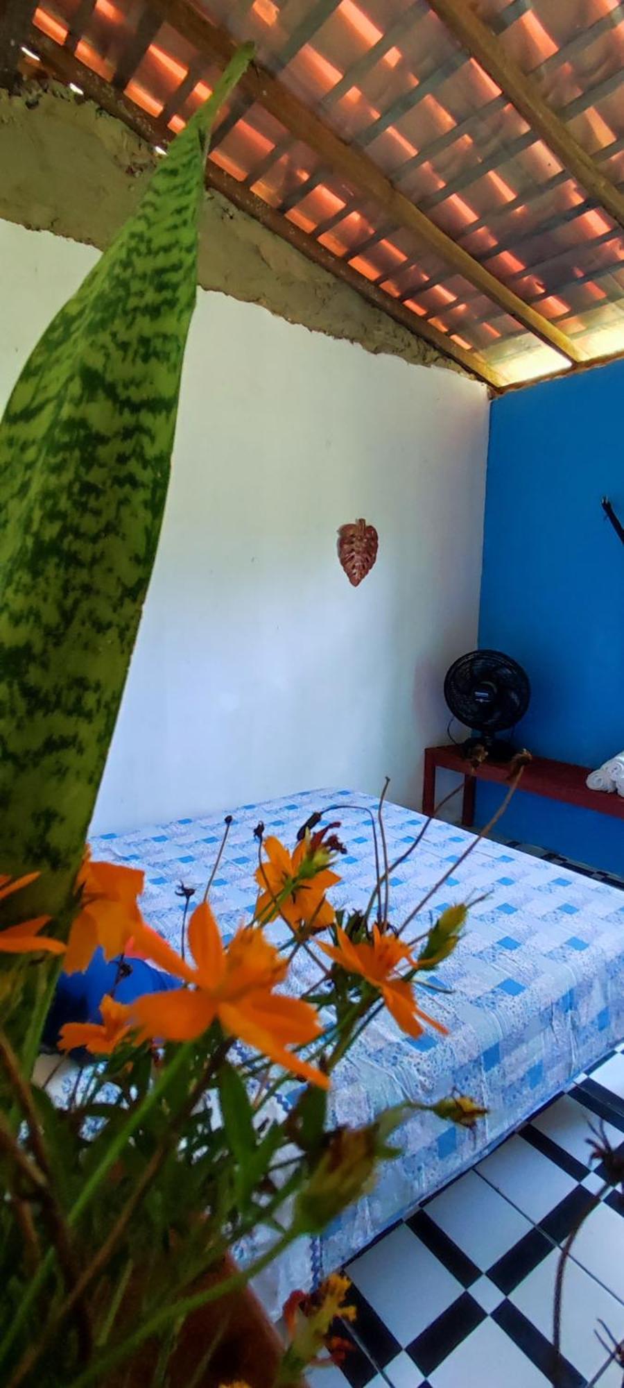 Eco Hostel Lunar Soure Bagian luar foto