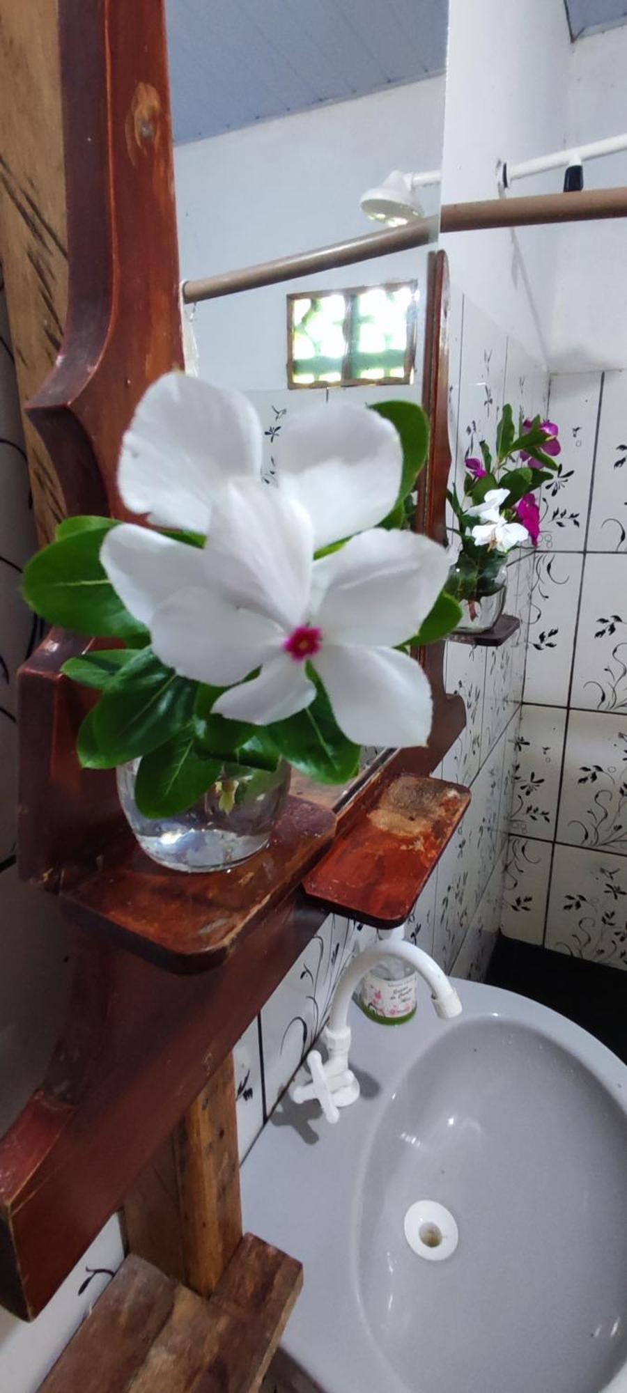 Eco Hostel Lunar Soure Bagian luar foto